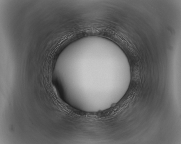 X0000114511297200910190921