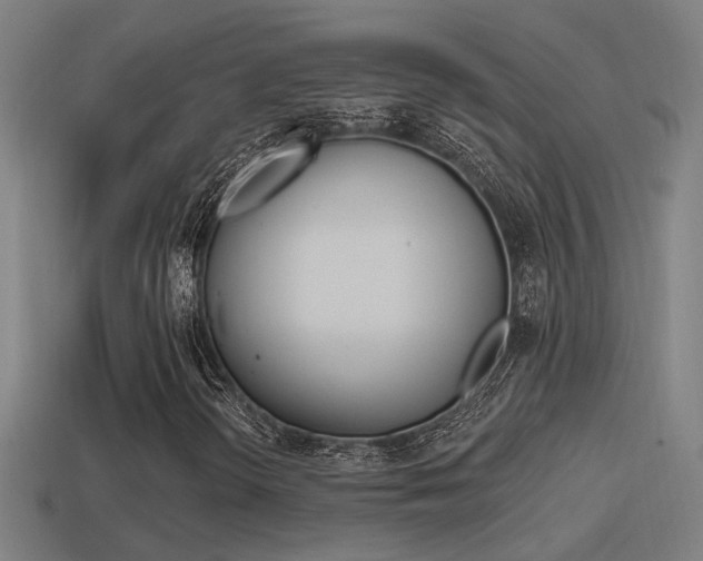 X0000114511298200910190921