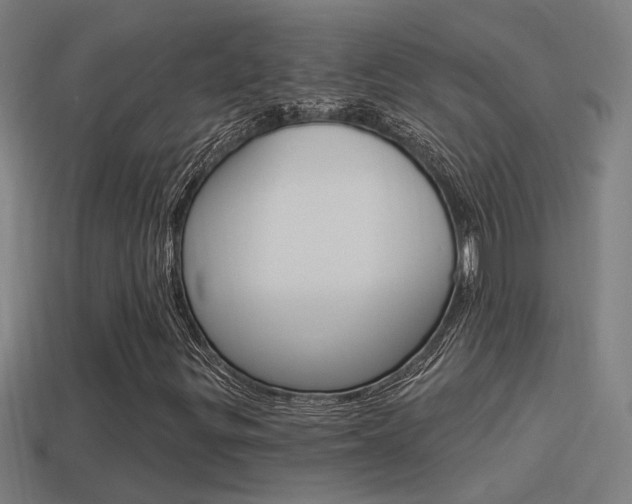 X0000114511299200910190921