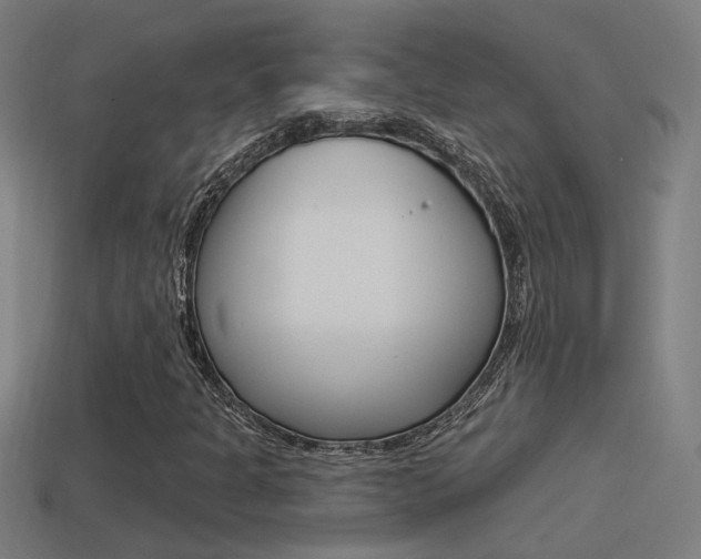 X0000114511301200910190921