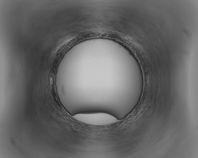 X0000114511302200910190921
