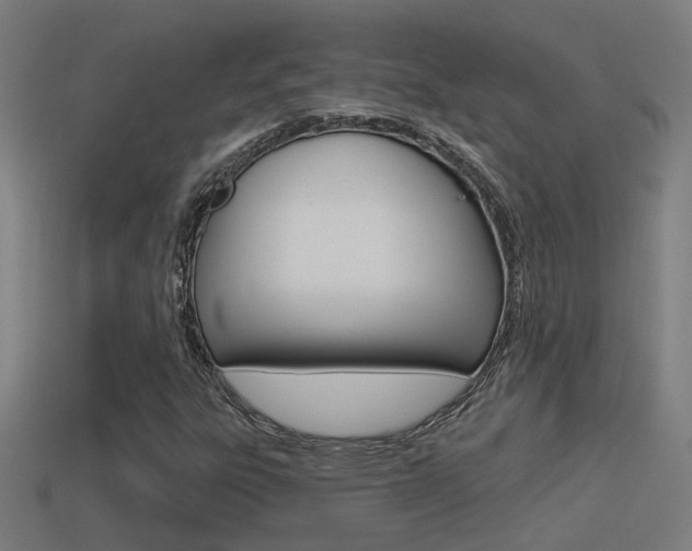 X0000114511303200910190921