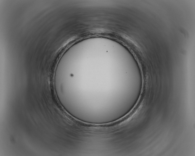 X0000114511305200910190921