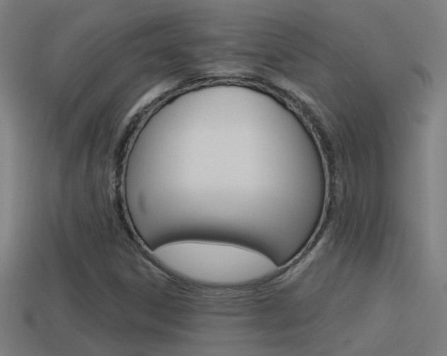 X0000114511306200910190921