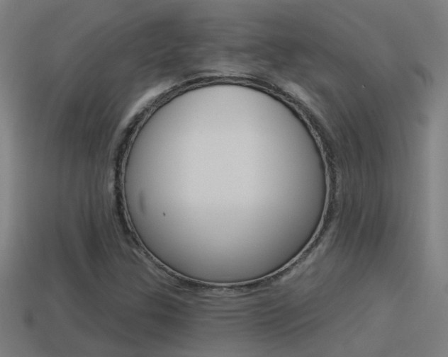 X0000114511307200910190921
