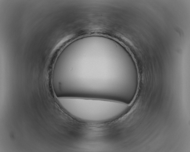 X0000114511309200910190921