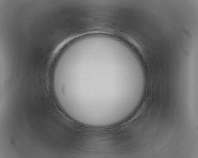 X0000114511310200910190921