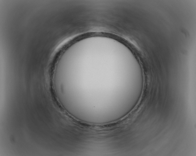 X0000114511311200910190921