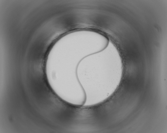 X0000114511314200910190921