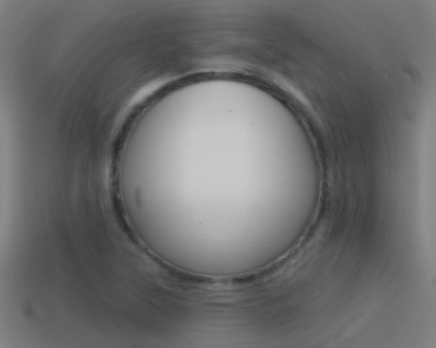 X0000114511315200910190921