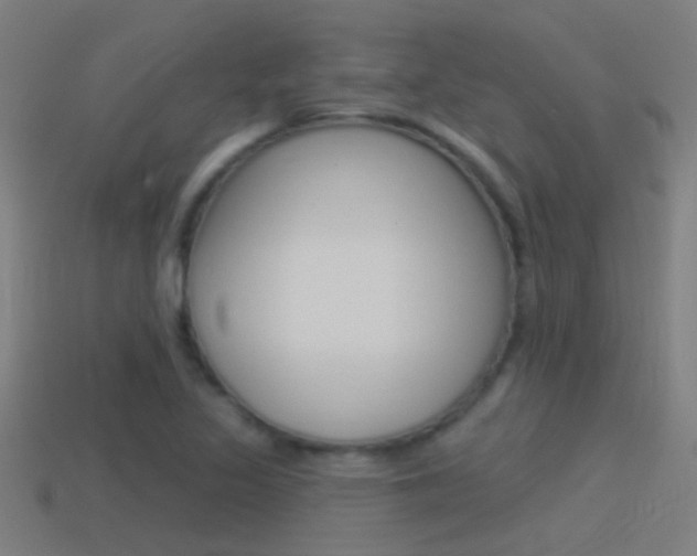 X0000114511317200910190921