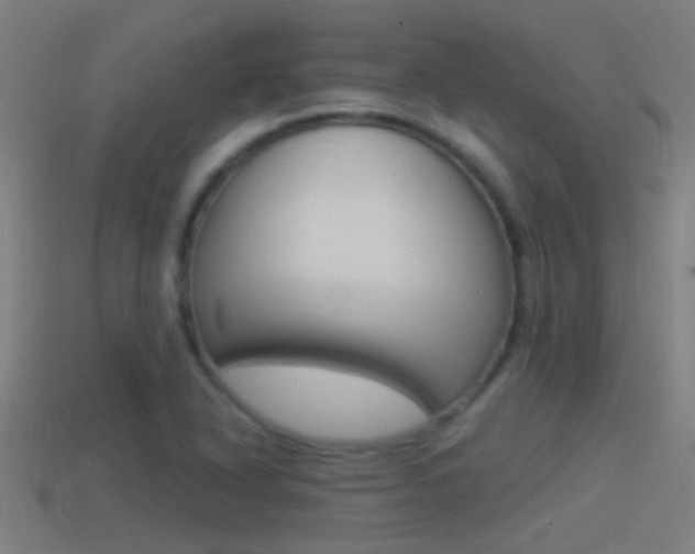 X0000114511318200910190921