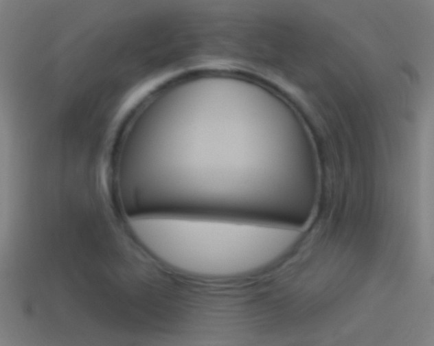 X0000114511319200910190921