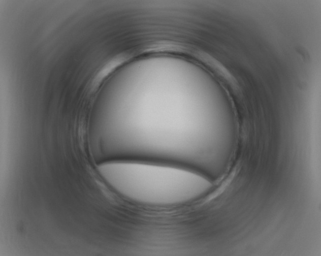 X0000114511321200910190921