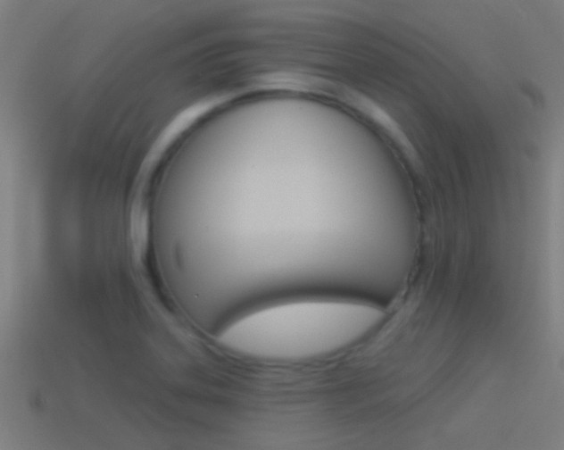 X0000114511323200910190921