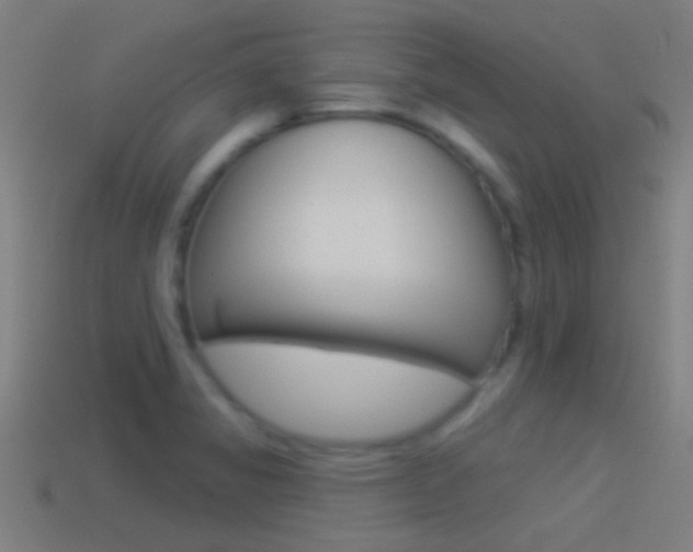 X0000114511325200910190921