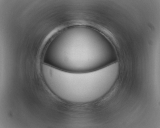 X0000114511326200910190921