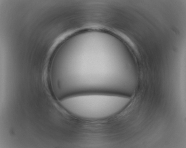 X0000114511327200910190921