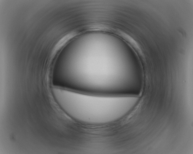 X0000114511330200910190921