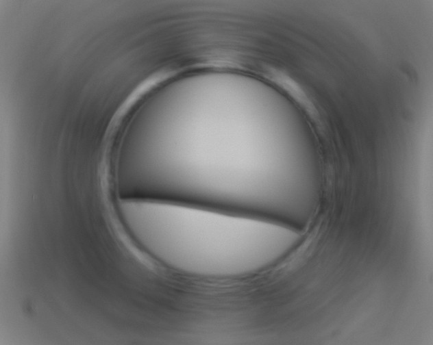 X0000114511331200910190921