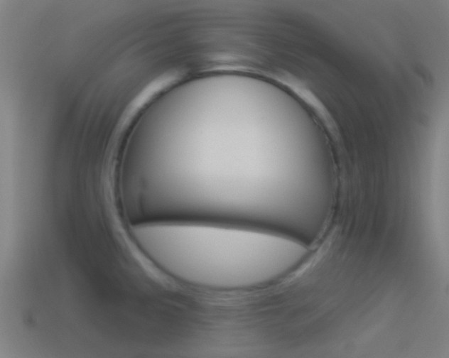 X0000114511333200910190921