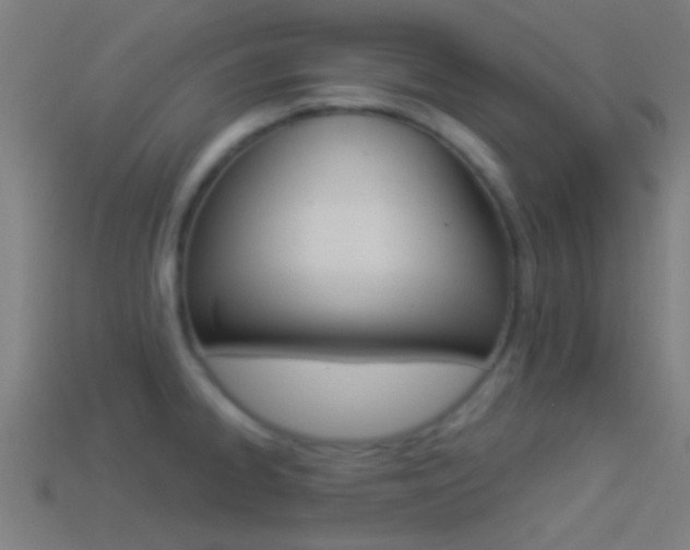 X0000114511334200910190921