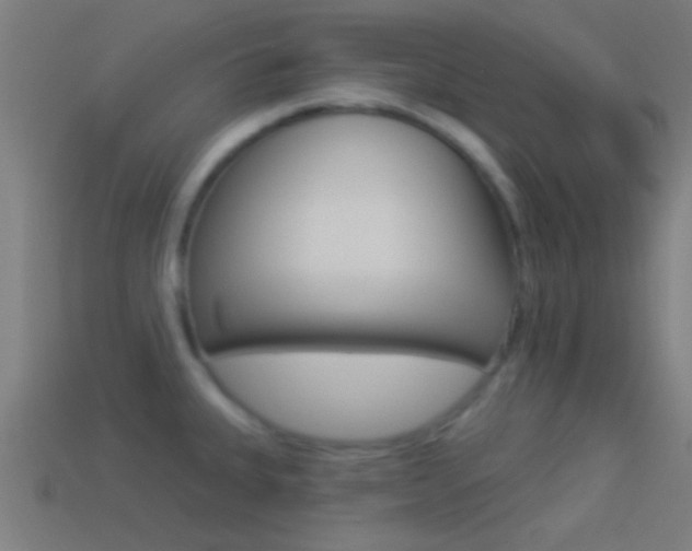 X0000114511335200910190921