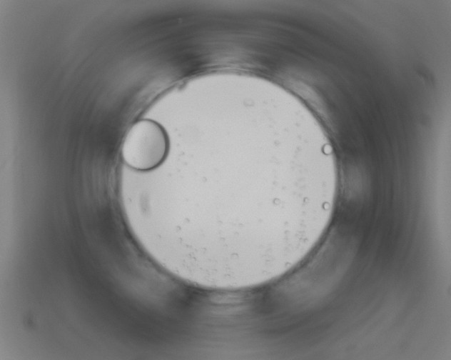 X0000114511338200910190921