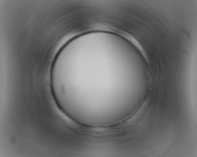 X0000114511339200910190921