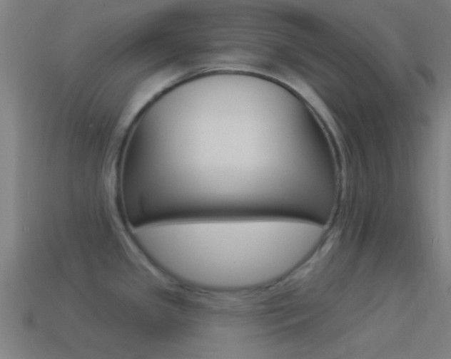 X0000114511341200910190921