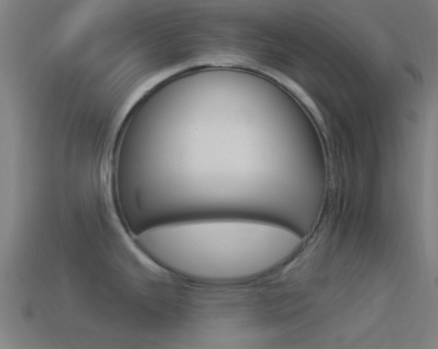 X0000114511343200910190921