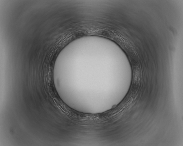 X0000114511346200910190921