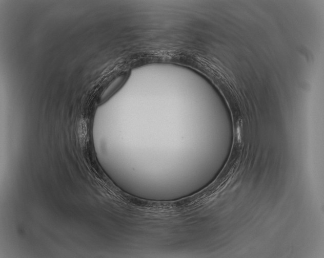 X0000114511347200910190921