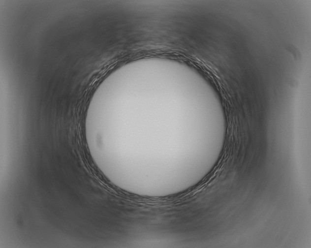X0000114511349200910190921