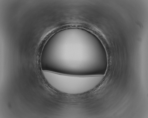 X0000114511352200910190920