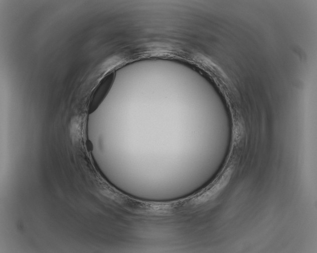 X0000114511353200910190920