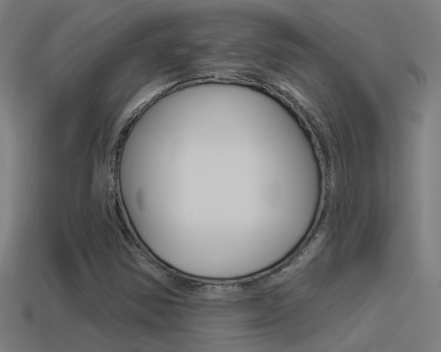 X0000114511354200910190920