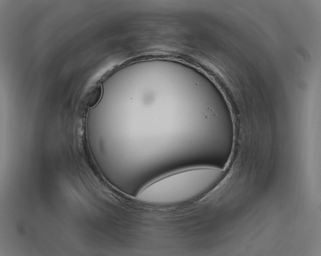X0000114511355200910190920