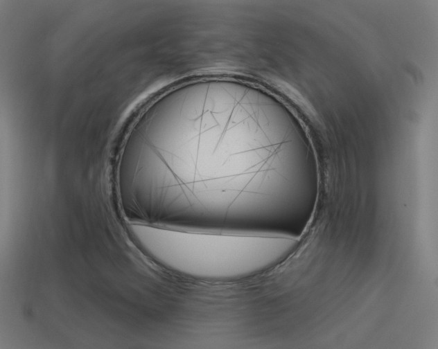 X0000114511356200910190920