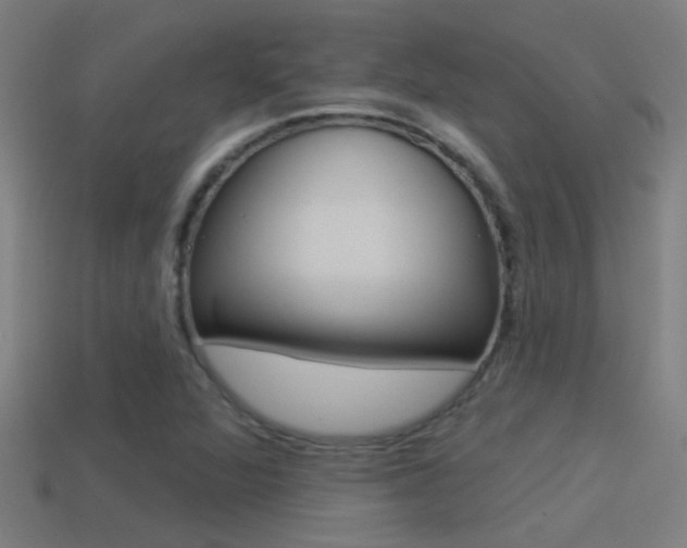 X0000114511360200910190920