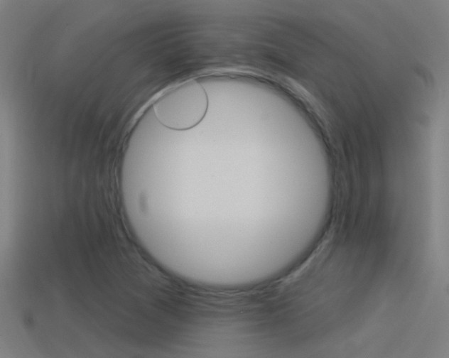 X0000114511361200910190920
