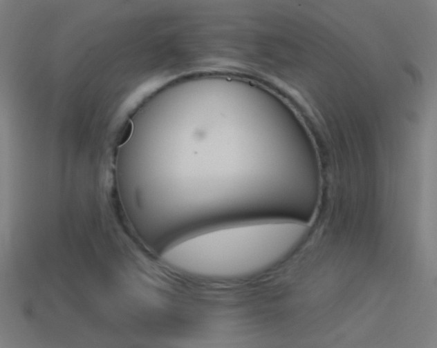 X0000114511363200910190920