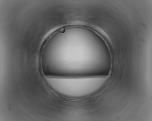 X0000114511364200910190920