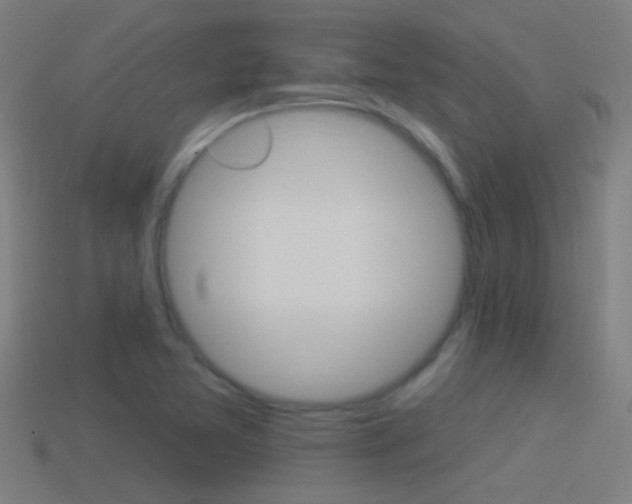X0000114511365200910190920