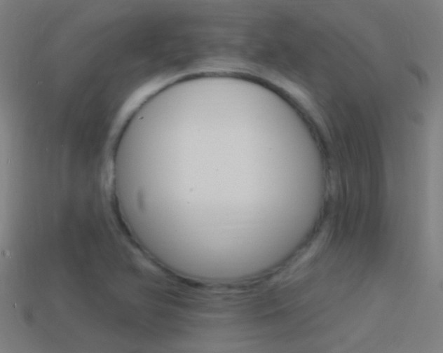 X0000114511366200910190920