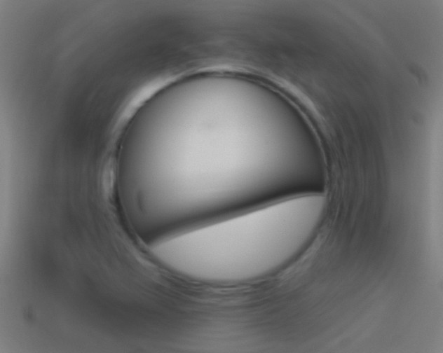 X0000114511367200910190920
