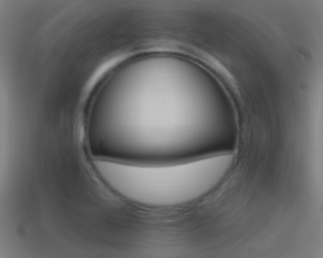 X0000114511368200910190920