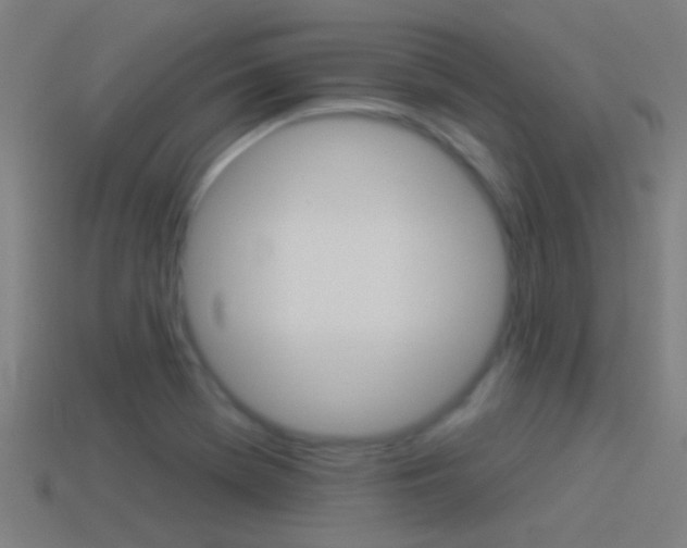X0000114511369200910190920