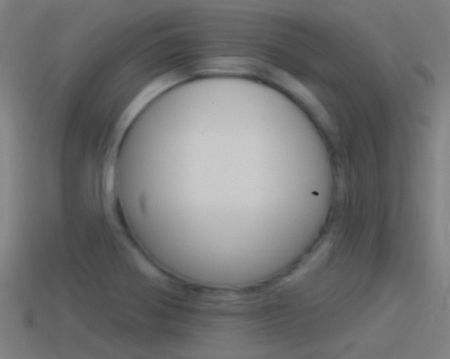 X0000114511370200910190920