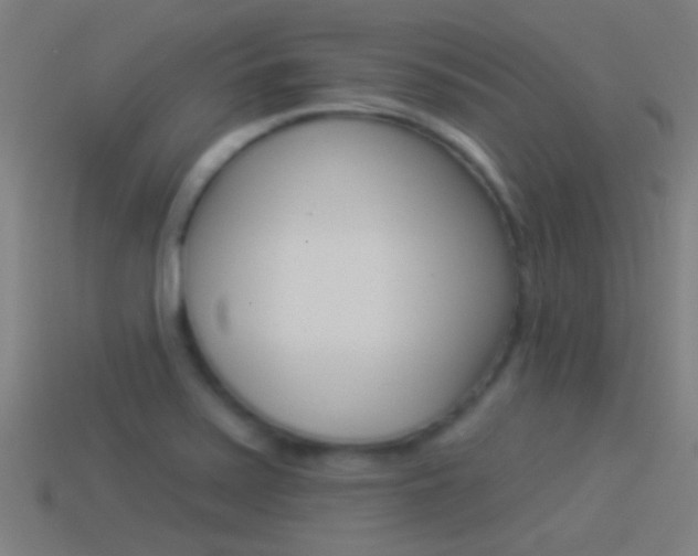 X0000114511371200910190920